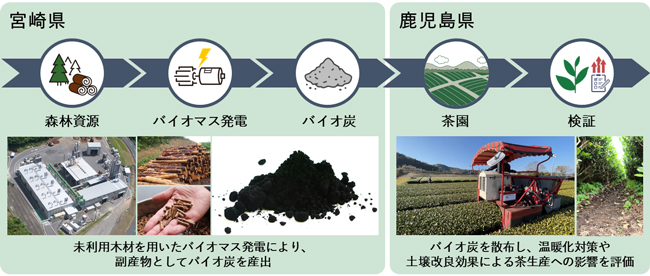 「バイオ炭」の茶園散布による温暖化対策効果試験の概要