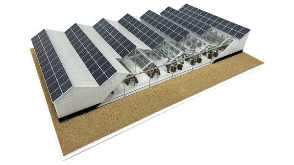 岡山県玉野市の営農型太陽光発電設備（1基）のイメージ