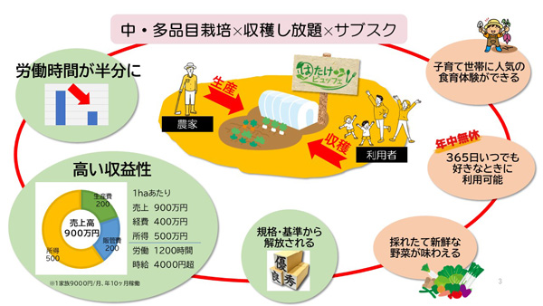 「はたけビュッフェ」概要