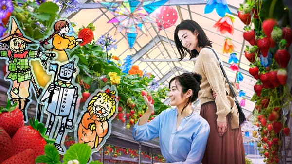 バラの専門家が作る「いちご」が楽しめる「オズの国のストロベリーハント」開催　京成バラ園