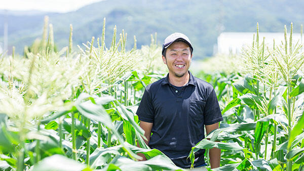 伊豆の生産者を守り地域農業を活性化　クラウドファンディングで支援募集