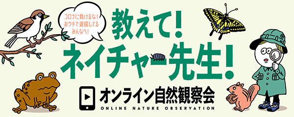 「オンライン自然観察会」開催