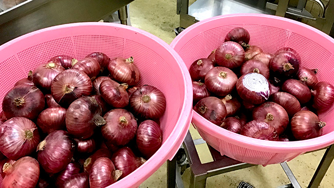 給食に使われた「湘南レッド」