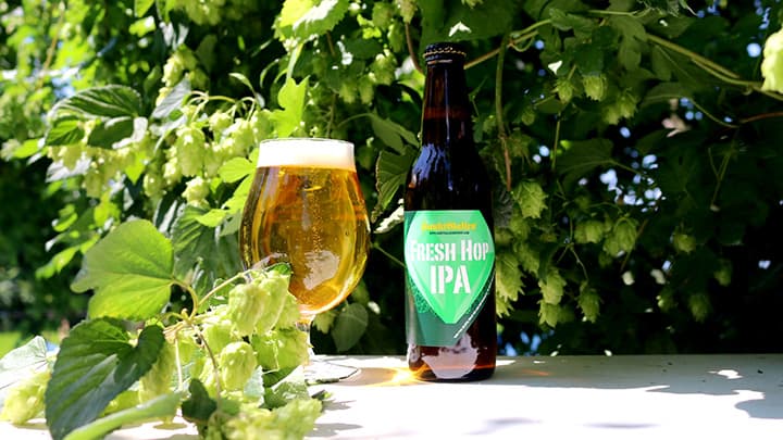 FRESH HOP IPA