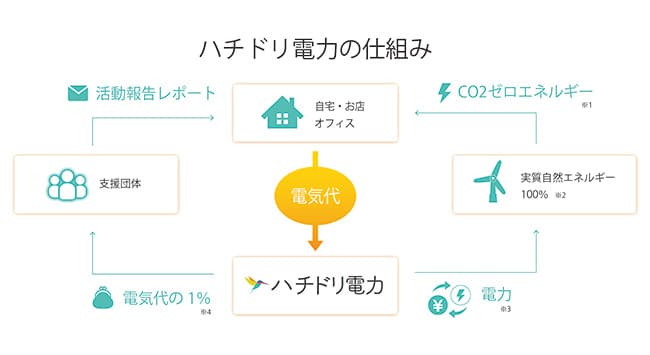 ハチドリ電力の仕組み