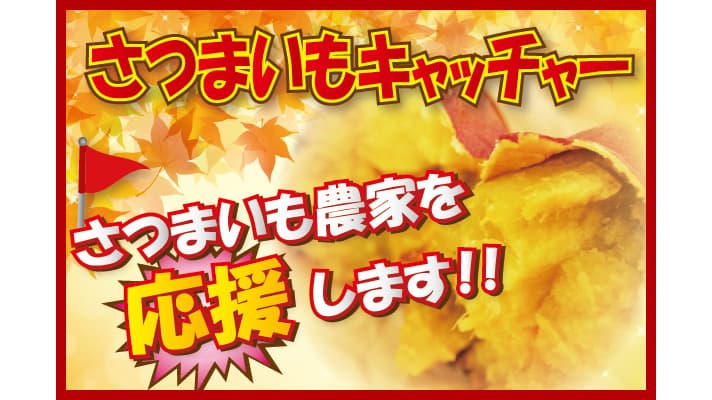 農家支援で「サツマイモキャッチャー」復活