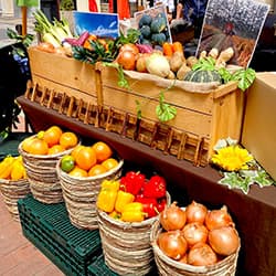 ｢こだわり野菜マルシェ｣