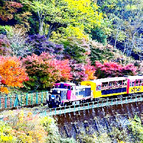 嵯峨野観光鉄道のトロッコ列車