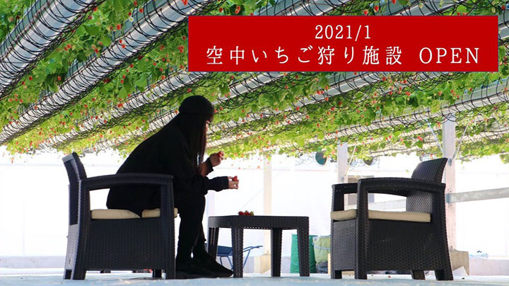 1月オープン空中いちご狩り施設