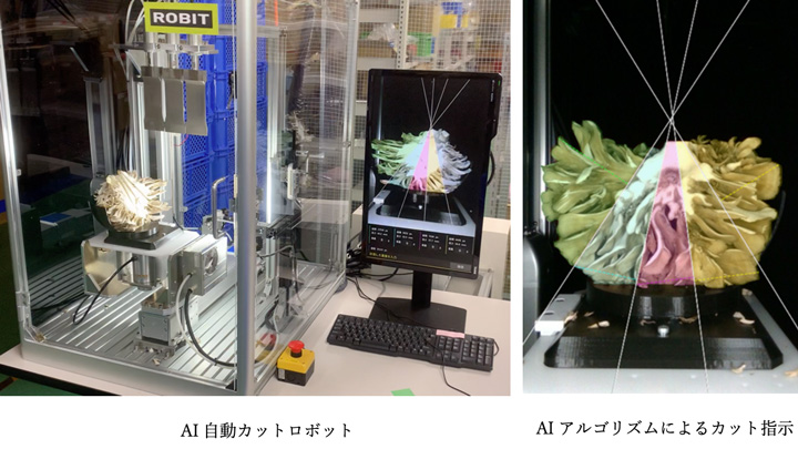 雪国まいたけと次世代型パッケージングライン開発に合意　ロビット