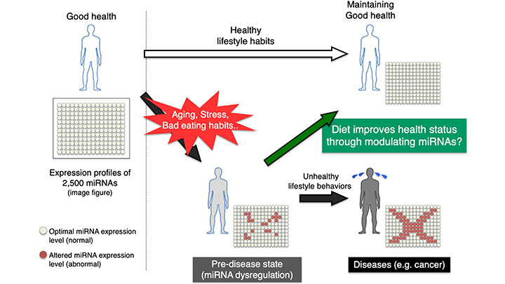 図解：健康状態とマイクロRNA発現パターンの関係性