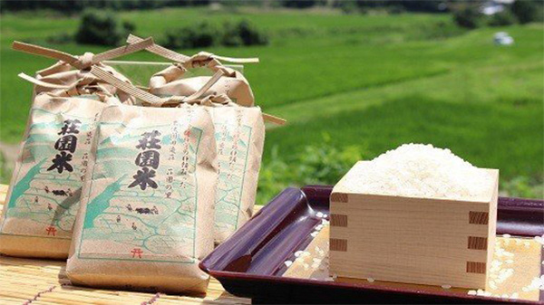 田染荘から届く「荘園米」