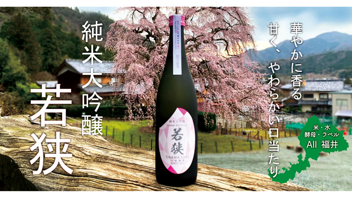 オール福井産日本酒「純米大吟醸わかさ」新発売　小浜酒造