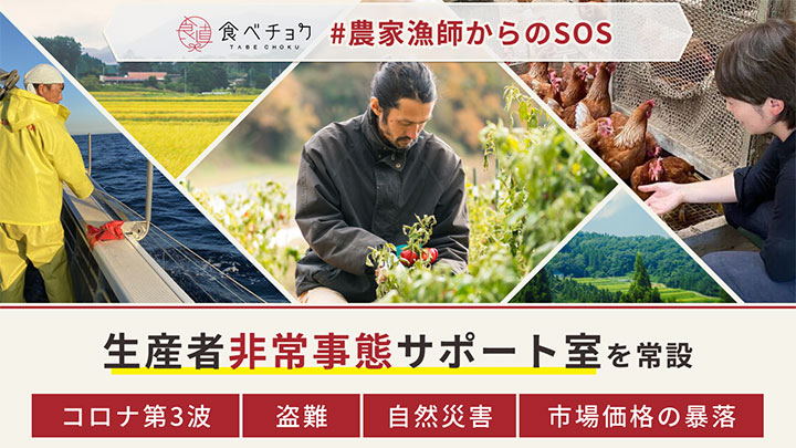 「生産者への早期入金」「まとめ買い補助プログラム」実施　食べチョク