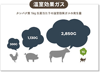 こおろぎは地球環境にやさしいエコ食材