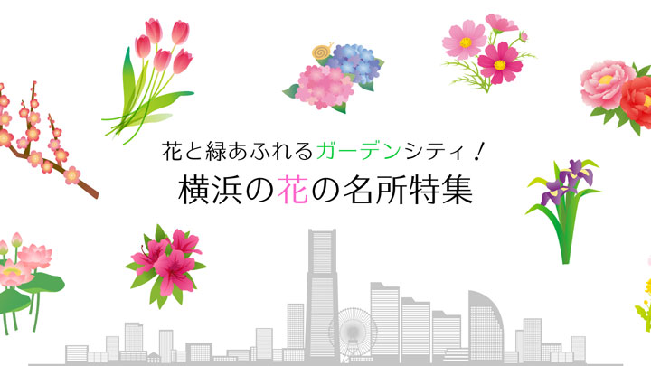 横浜の季節の花の名所を案内　特集ページを開設　横浜観光情報