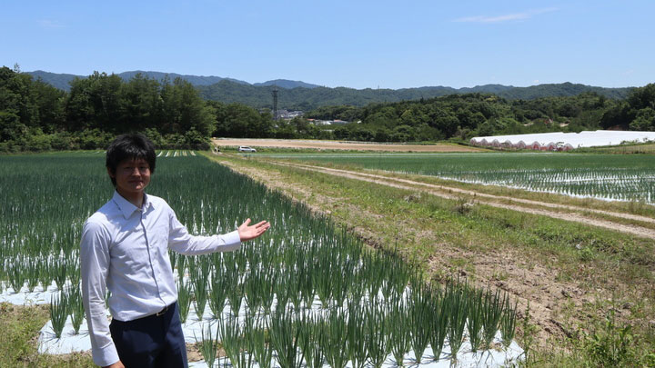 京丹後の新たな生産地で九条ねぎの安定生産をめざす