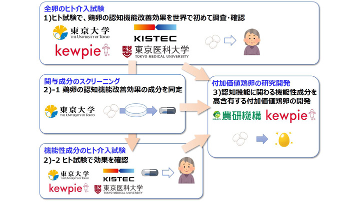 鶏卵の摂取で「認知機能改善効果」を解明　研究推進事業に採択　キユーピー