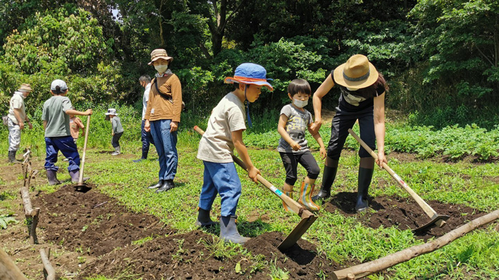 5月15日に行われた第5回目の管理作業・土寄せの様子