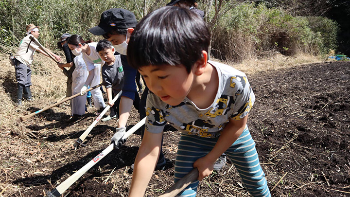  第2回目（3月13日）に行われた「畝づくりと種いも定植」