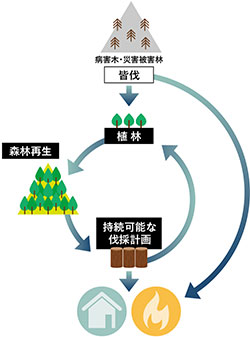 森林再生事業イメージ