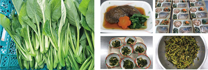 提供された小松菜は様々なメニューに調理された