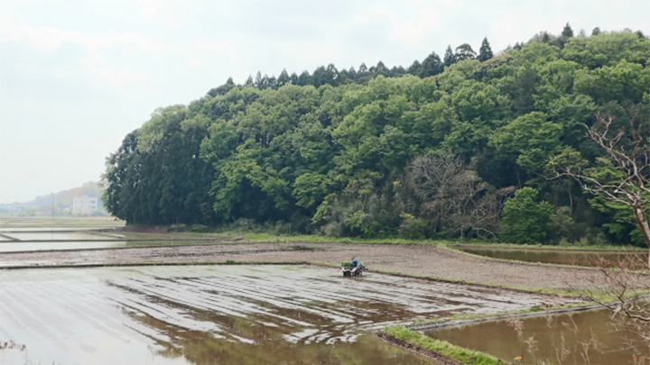 里山をまもりたい「第31回イオン環境活動助成 公募」開始