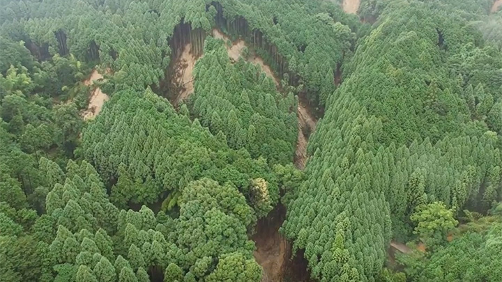 2017年九州北部豪雨で発生した表層崩壊群 （福岡県朝倉市）