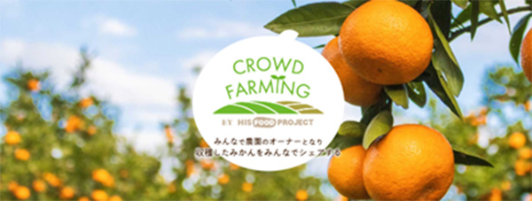 三重県「食の海外展開に係る戦略的連携」推進「CROWD　FARMING」始動　HIS