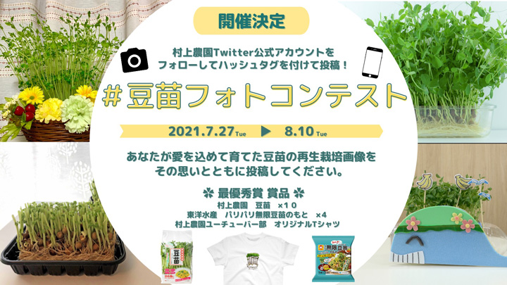 「豆苗」の再生栽培を募集「豆苗フォトコンテスト」開催　村上農園