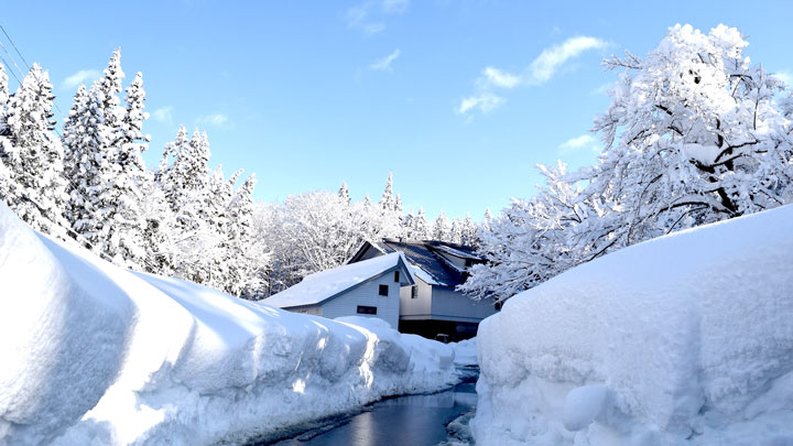 毎年12月～3月は雪に覆われる津南醸造
