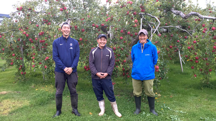 「不揃いりんご」の取り組みに参加する弘前市の生産農家