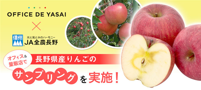 「オフィスで野菜」長野県産りんご「サンふじ」冷蔵サンプリング実施　ＪＡ全農長野