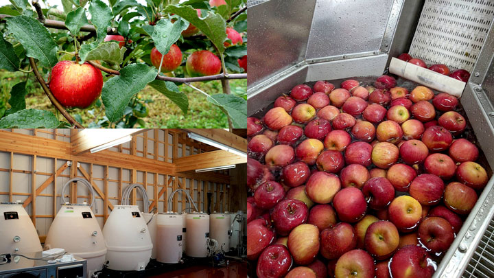 長野のリンゴを「アップル・ブランデー」に　カモシカシードル醸造所がCF開始