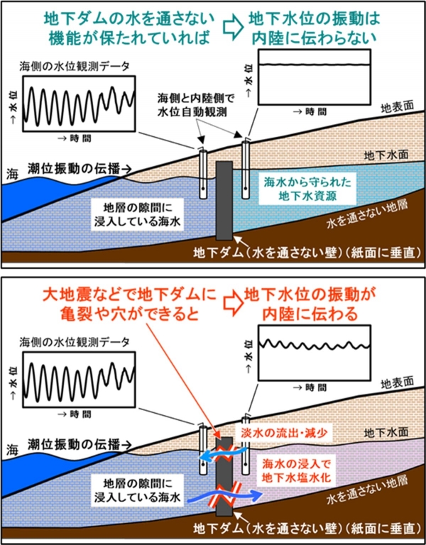 図1：地下水の塩水化を防ぐ地下ダムにおける潮の満ち引きを利用した機能監視の概念図