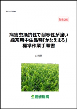 緑茶用新品種「かなえまる」標準作業手順書