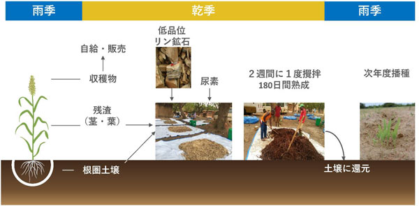 リン鉱石堆肥利用の概念図