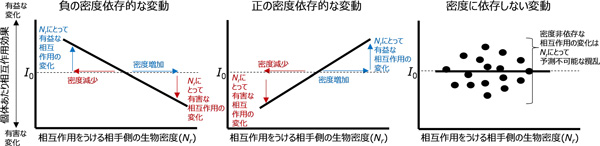 図1：相互作用効果の密度依存的な変動の概念図