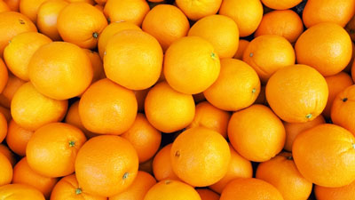 フランスCIRADのオレンジ病害対策　共同研究に参画　サントリー