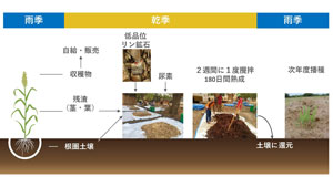 リン鉱石堆肥利用の概念図s.jpg