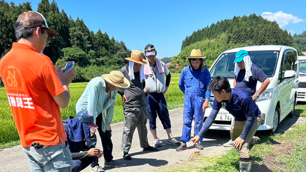 水稲栽培の課題解決「肥料設計セミナー」宮城県栗原市で開催　リンク.jpg