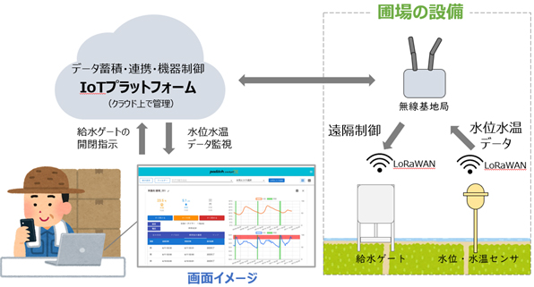 実証概要