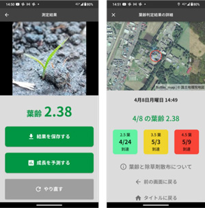 図：葉齢判定（左）と生長予測（右）の結果を示した画面例