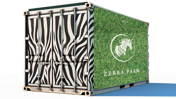 「無農薬いちごコンテナ」熊本で生産開始　12月から生産システムをパッケージ販売　ゼブラファーム