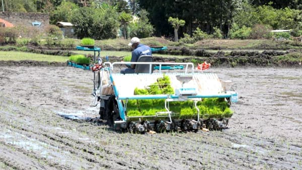 ケニアで田植えの機械化促進　JICAの支援事業に採択　唐沢農機サービス