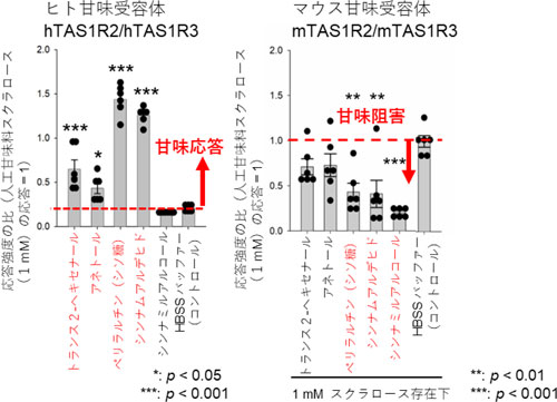 図1：低分子疎水性成分の甘味/甘味阻害効果の発見。赤字は有意な甘味応答や甘味阻害効果を示す物質。左図では、点線はHBSSバッファー（コントロール群）に対する応答の平均値を示し、点線より大きな応答が甘味応答を示す。右図では、点線は1mMスクラロースに対する応答の平均値を示し、点線より小さな応答が甘味阻害作用を示す。