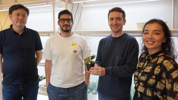 OIST植物エピジェネティクスユニットの研究チーム。左から佐瀨英俊教授、レオナルド・フルチ博士、ジェレミー・ベトリエ博士、ムニサ・サディコバさん