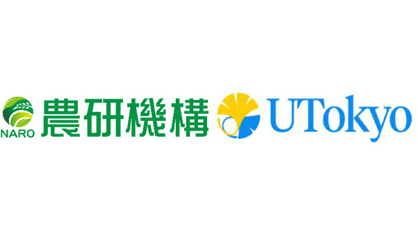 地上部生長から育種ほ場のテンサイ糖収量を予測　農研機構×東京大学.jpg