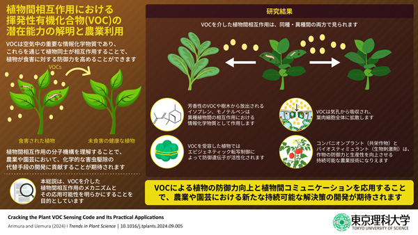 植物における匂い（VOC）の作用と認識メカニズムを総括　東京理科大_01.jpg