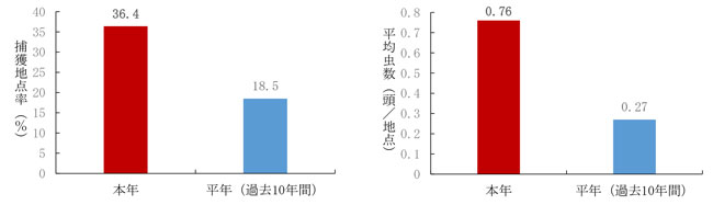 チャバネアオカメムシ越冬量（左：捕獲地点率、右：平均虫数）